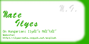 mate ilyes business card